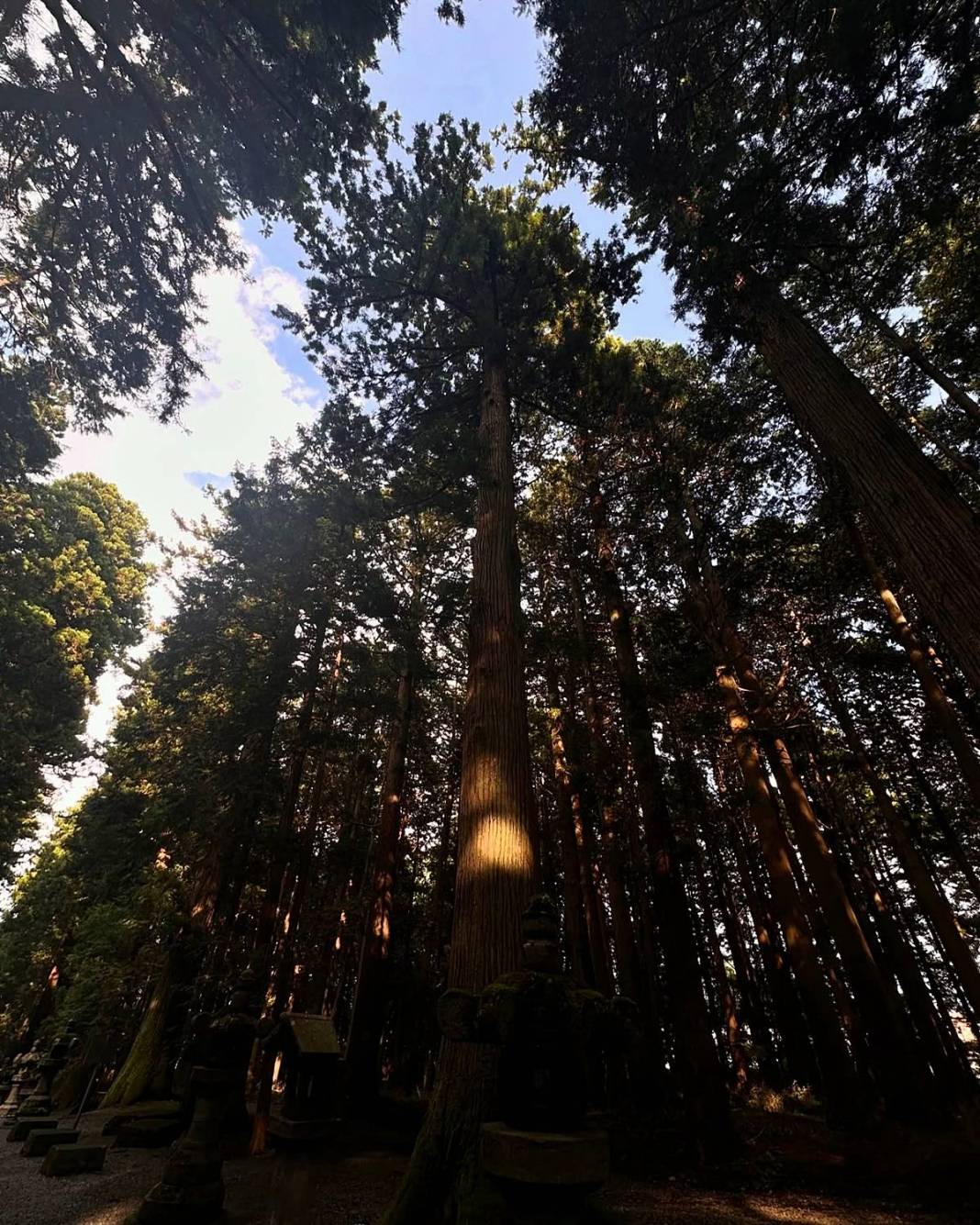 Japonya'da sevilen bir yabancı olun: Harika bir deneyim için altın kurallar! Gülümse ve kurallara uy 11